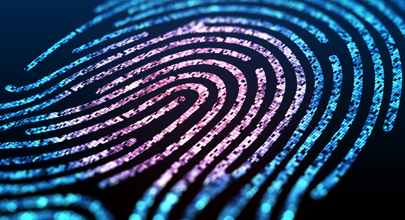 Large digital fingerprint 